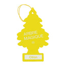 Sapin désodorisant voiture (arbre magique)