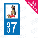 Moto - Sticker immatriculation 987 - Vahine new
