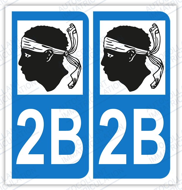 4 Autocollants Plaque Immatriculation Style "2B Black Edition Corse" - Vinyle, 10x4,5 Cm