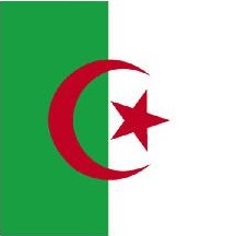 Autocollant drapeau Algérie pour plaque immatriculation