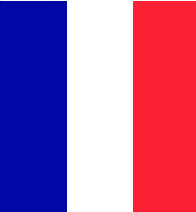 Autocollant drapeau Français pour plaque immatriculation