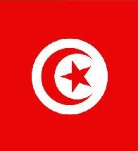 Autocollant drapeau Tunisie pour plaque immatriculation