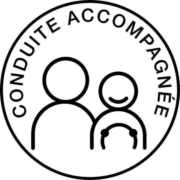Disque conduite accompagnée magnétique