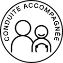 Disque conduite accompagnée magnétique